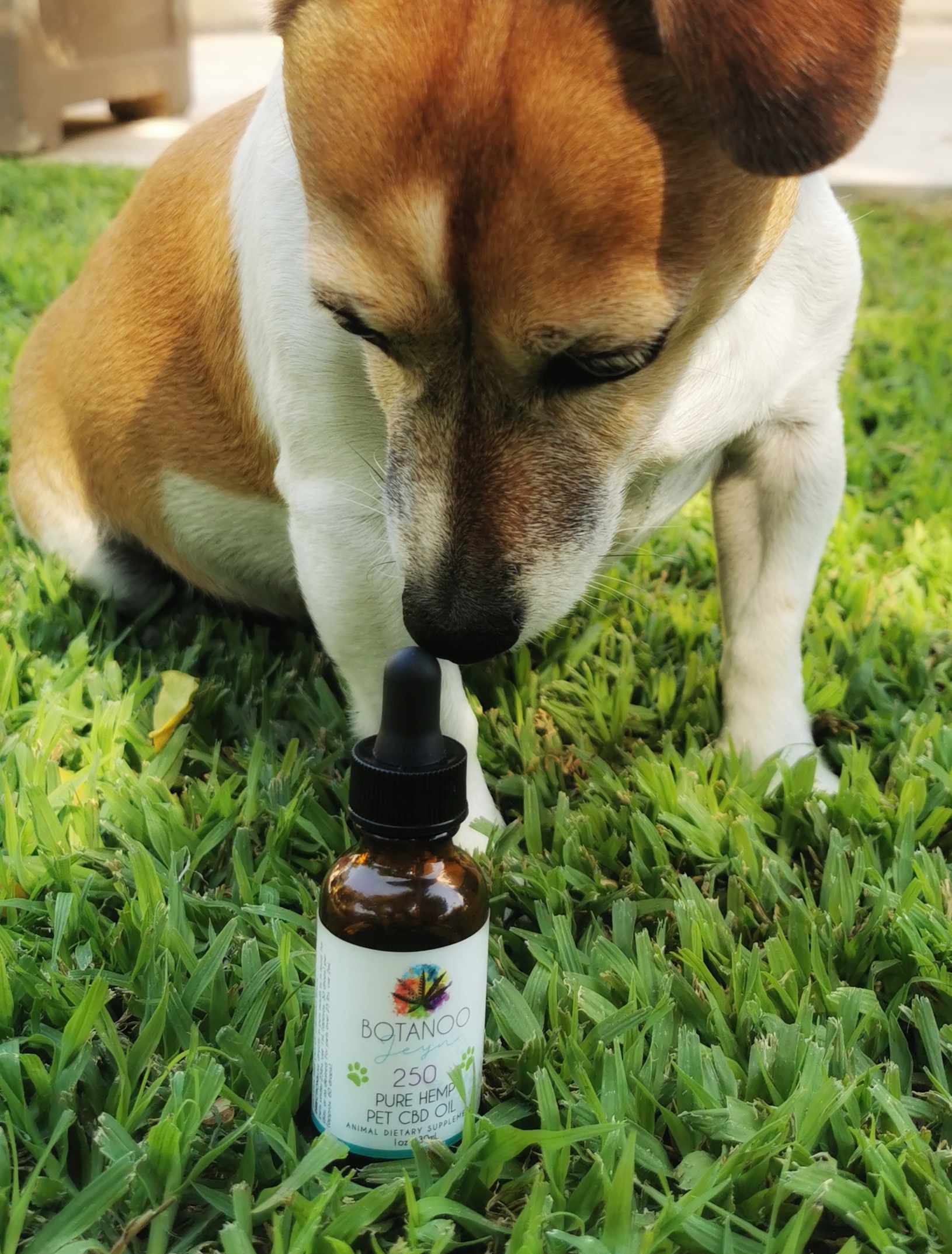 CBD Pet Drops