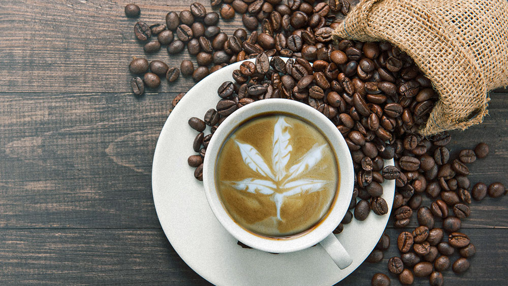 CBD Coffee 118g - Image 2
